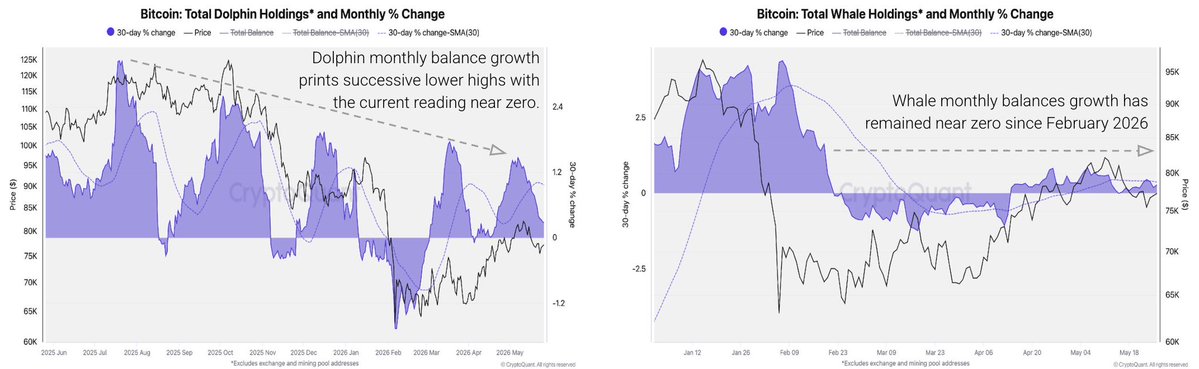 Crypto Banter tweet media