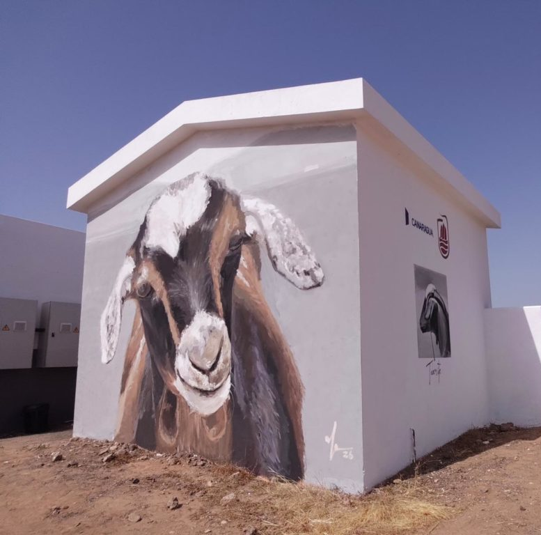 Canaragua's tweet photo. ¡Mañana #DíaDeCanarias! 🇮🇨 🙌
Una fecha perfecta para reivindicar nuestra #Cultura y nuestra #Identidad, a través del #Arte 🎨
Ponemos en valor junto al Ayuntamiento de @PuertoRosario la cabra majorera con un mural de Ale Mesa en la #EBAR de #ElMatorral
https://t.co/3NJ8wF2alq https://t.co/vOqNotp8xc