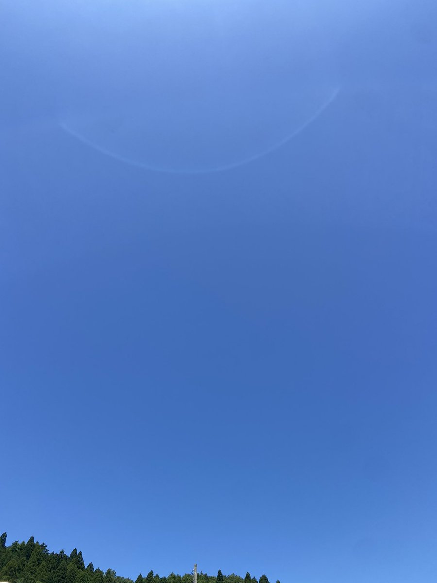 マイスト tweet media