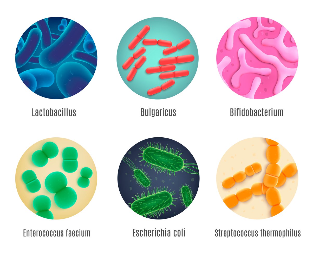 CreativeEnzyme's tweet photo. Support next-generation wellness formulas with probiotic enzymes 🧬
Creative Enzymes offers probiotic solutions for supplement, food, and research applications.

👉 https://t.co/CUSL7BLC98 https://t.co/9RfrZnu5OK