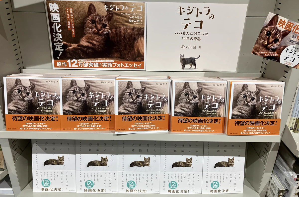 丸善丸の内本店 on X: 