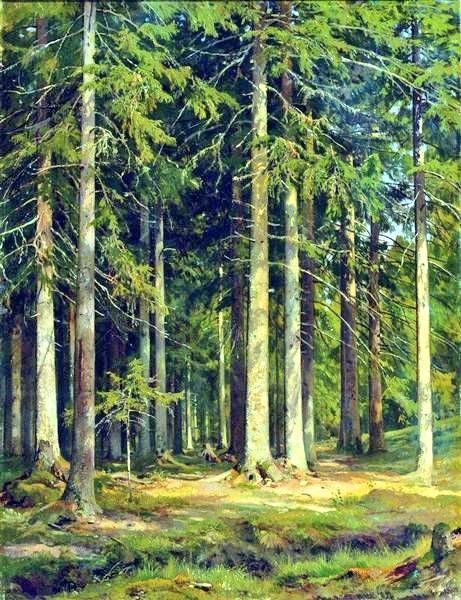 arealmofwonder's tweet photo. "... the magnificent here and now of life in the flesh is ours, and ours alone, and ours only for a time."
     ~ D.H. Lawrence

The Fir Forest (1891)
  🎨 Ivan Shishkin https://t.co/83GuTBNjyR