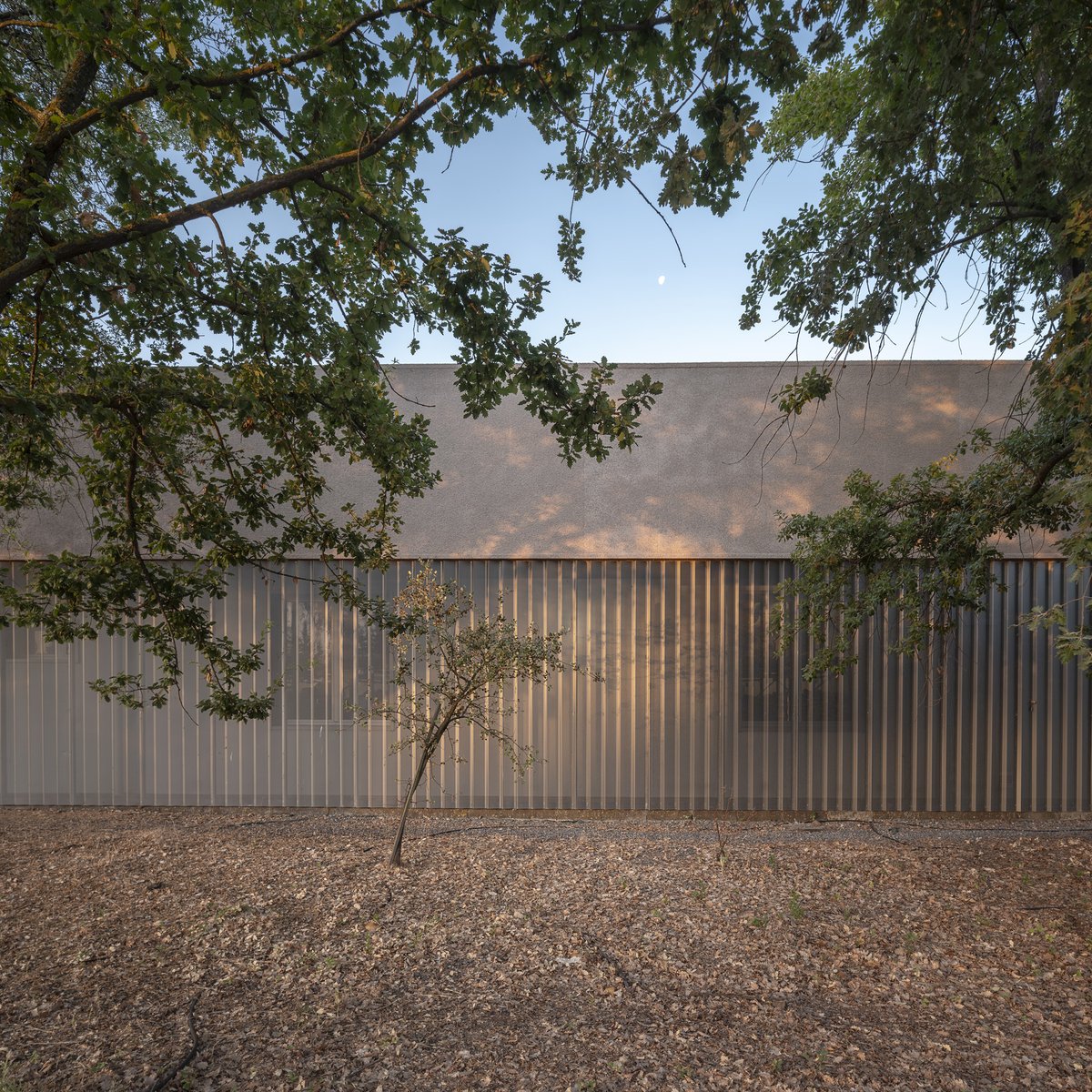 DUNAR arquitectos tweet media