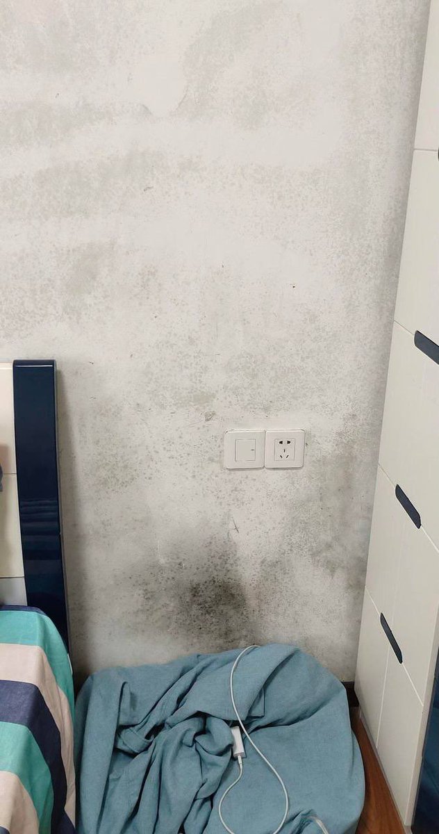 lounoiree's tweet photo. INI SIH PENEMUAN TERBAIK 😭
blackmold yang nempel lama ternyata bisa bersih lagi!! SUNGKEM!!! Sama orang yg udah spill cara ngatasin black mold di tembok ini 😭🫶🏻 https://t.co/rlzMpqSWp4