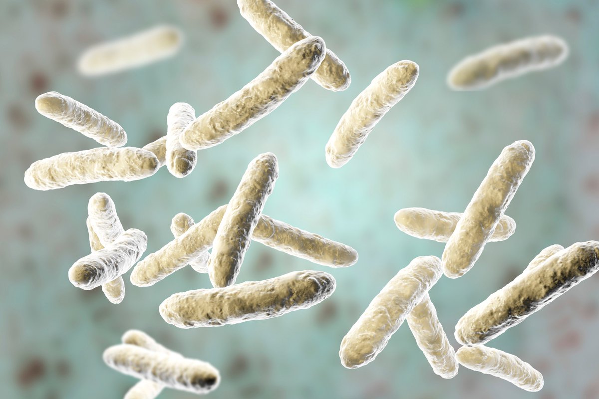 CreativeEnzyme's tweet photo. Explore Lactobacillus strains for food, supplement, and microbiome research applications 🧫
Find solutions to support formulation and product development.

👉 https://t.co/ldi6imPzhe https://t.co/AT1LZzSFwZ
