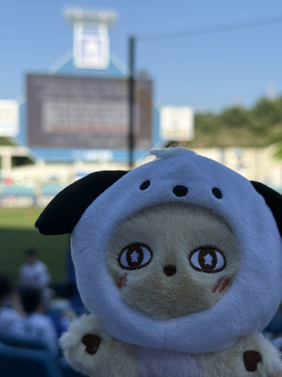 고봉밥 tweet media