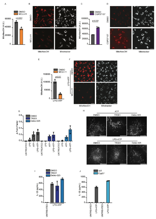 cddpress's tweet photo. “Mitochondrial calcium uptake drives organelle remodeling to promote inflammasome-dependent cytokine release”

A mechanistic insight into the intersection between mitochondrial function and innate immune activation ⤵️
https://t.co/gZiR7F7R9d https://t.co/s9c9CT5CIE