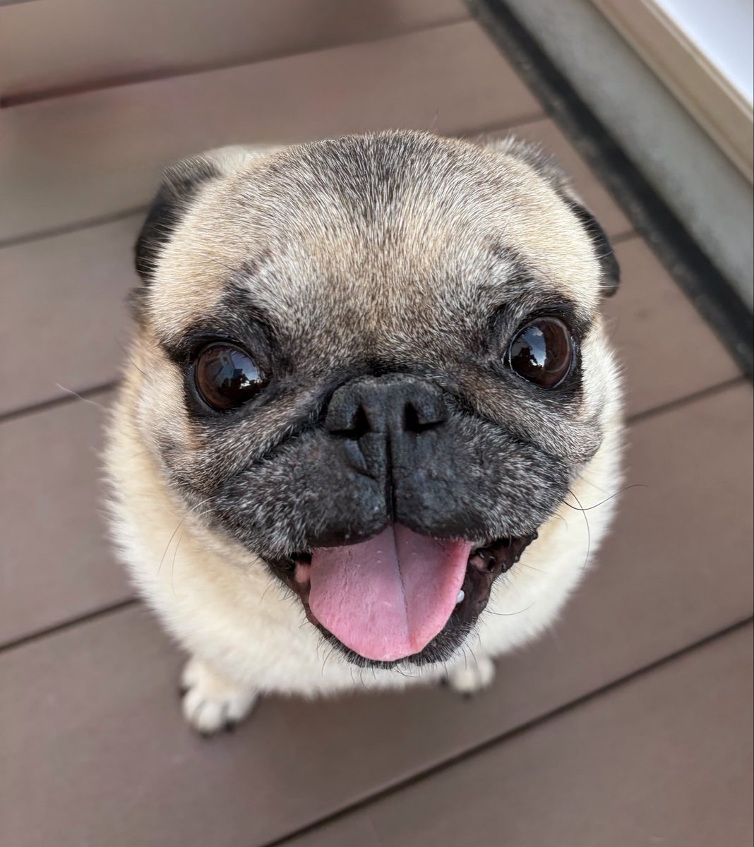 Smile for me,Smile for you🎵 あなたが あなたが まぶしいわ