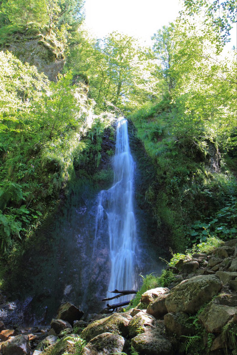 otsancy's tweet photo. Prendre de l’altitude et se rafraîchir auprès d’une cascade… c’est possible dans le Massif du Sancy 💦⛰️

Toutes plus jolies les unes que les autres 🤍

👉 Nos idées pour se rafraîchir le temps d’un week-end, c’est par ici : https://t.co/GvYTrruclC. https://t.co/wLL7o35fYB