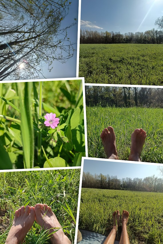 WollyCo's tweet photo. Nature and bare feet

#feet #soles #naturism #nudism https://t.co/TGZILmsnNC