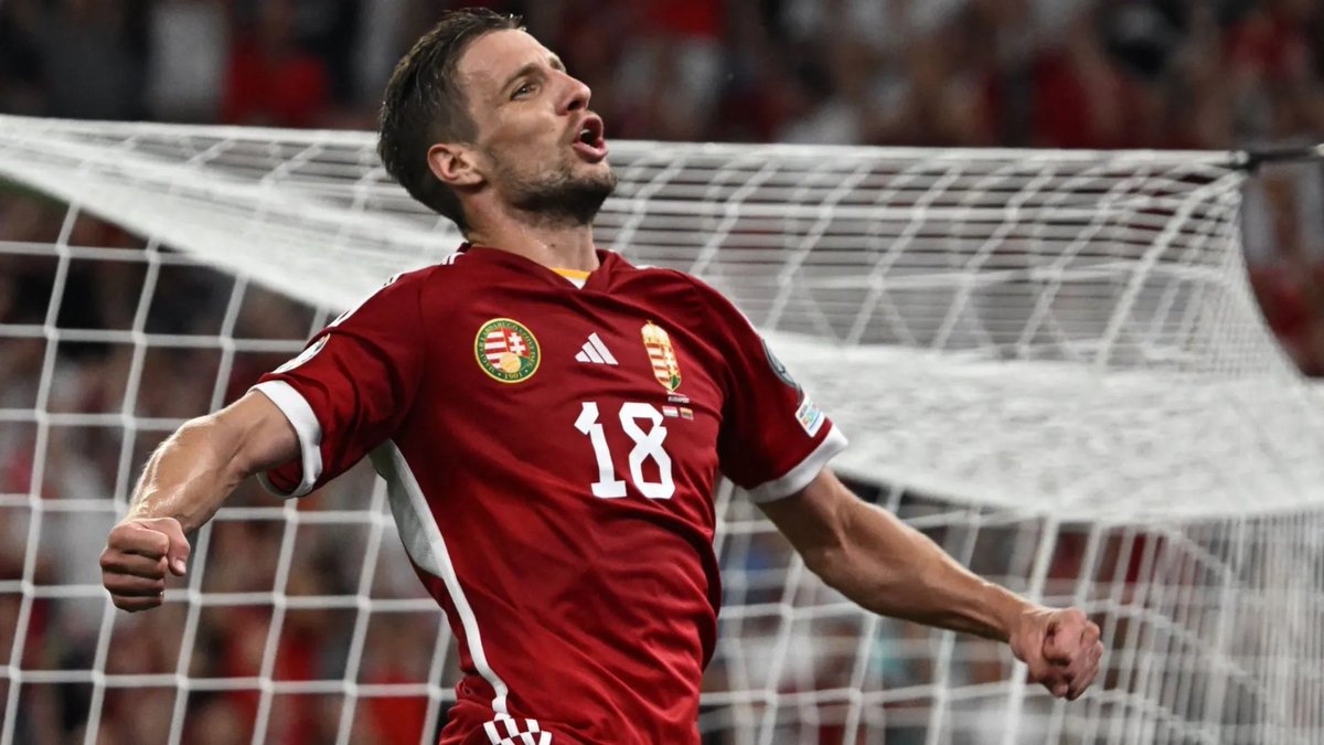 Gürkan Sarıkaya tweet media