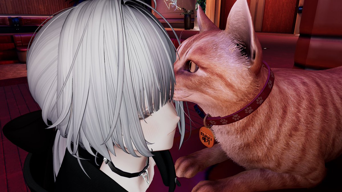 Moyu_Re's tweet photo. 猫吸い写真に取られてて笑ってる。 https://t.co/6GeEZBDaBw