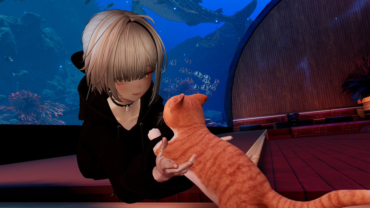 Moyu_Re's tweet photo. ねこー https://t.co/343MRTCROp
