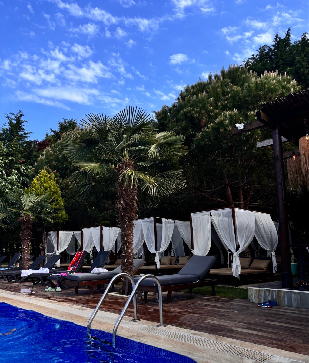 Feedbacksiz's tweet photo. @ulasguler 🤍☀️ https://t.co/aoGQlSfSVS