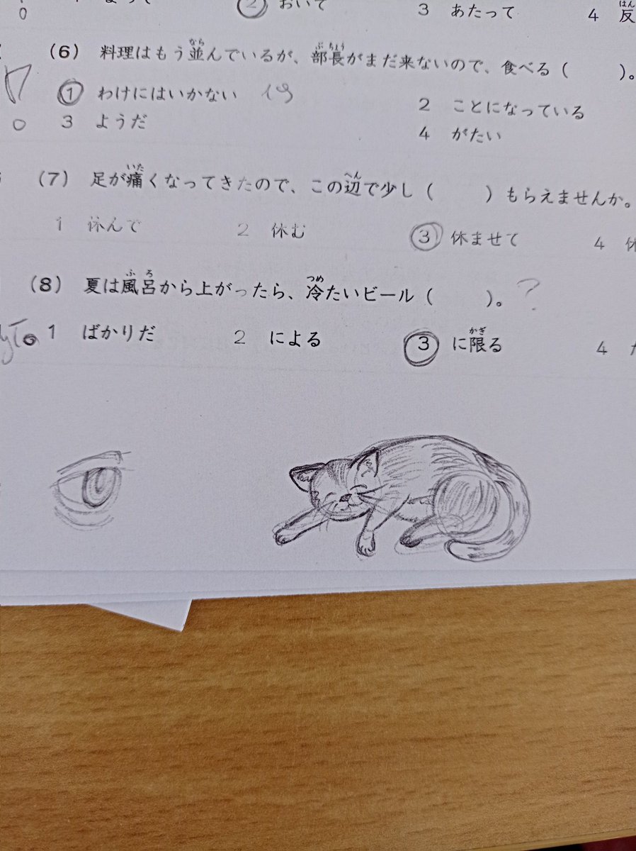 PromiseElfy's tweet photo. Kitty I don't mean to alarm you but don't open your eyes (also my friend said I drew it really fast and that was nice to hear 🥹🥹) https://t.co/0Jq5X4bbAc