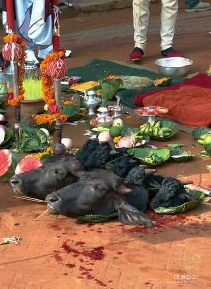 coding_kakeeda's tweet photo. Ji shi kaha bhut acha culture hai apka https://t.co/lvK8qH5EgH