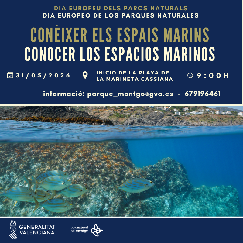AMAUPV's tweet photo. Actividades previstas para este fin de semana:

Domingo, 31: visitaremos la zona costera de la Reserva Marina y el Parc Natural del Montgó🌊

@GVAparcs 

🔗 Para más información:
https://t.co/PlsBz5m1Ku https://t.co/TyhiTT7Zoi
