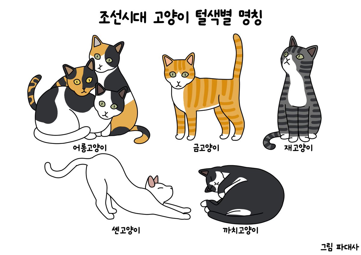 후츄 tweet media