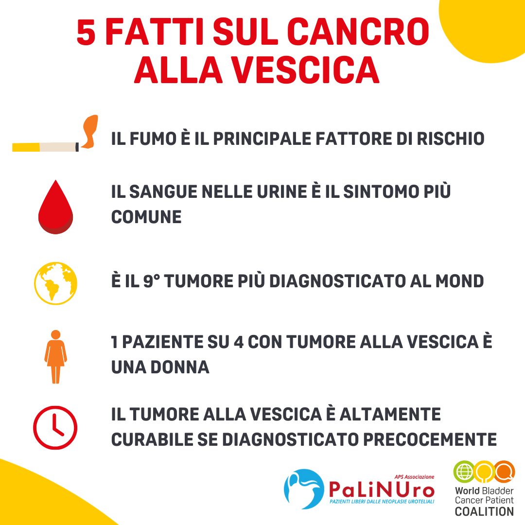 AssPalinuro's tweet photo. 📌 La diagnosi precoce è fondamentale. Quando il tumore alla vescica viene diagnosticato precocemente, circa il 90% dei casi può essere trattato o gestito con successo. #BladderCancerAware #BladderCancer #GetChecked #mesetumorevescica 
@WorldBladderCan https://t.co/R7YxgW8CgF