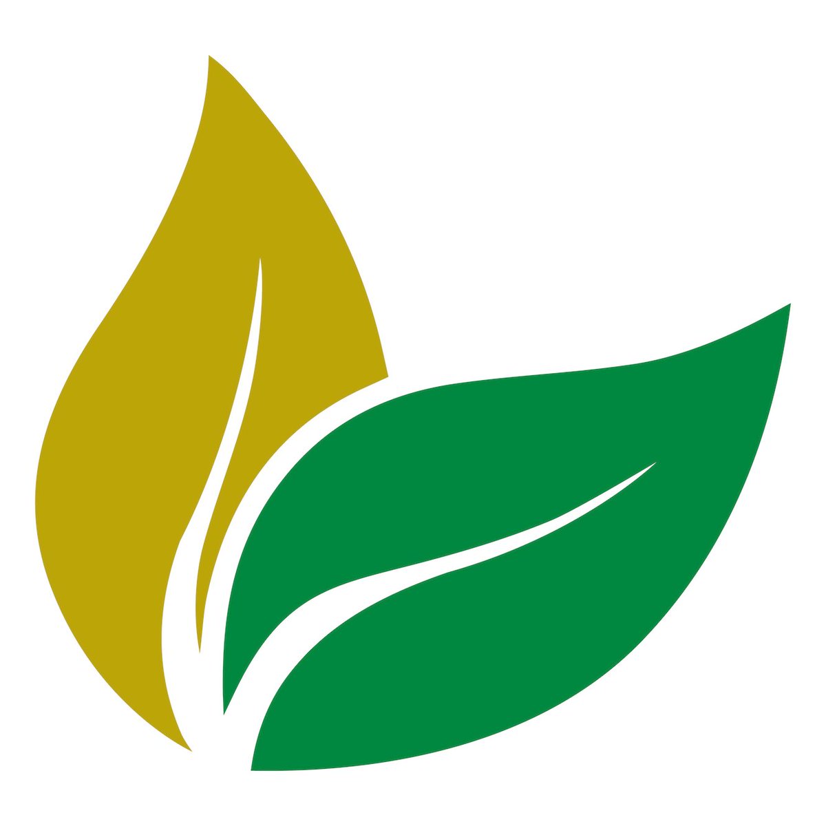 cbseeds's tweet photo. Unlock the secrets beneath your fields with EarthOptics soil biology testing. Make informed decisions before it’s too late. Call 319-448-3752 or visit https://t.co/QtWTmwvizw. #LammersAg #EarthOptics #PrecisionAg #IowaFarming https://t.co/YFt2ln4s0u