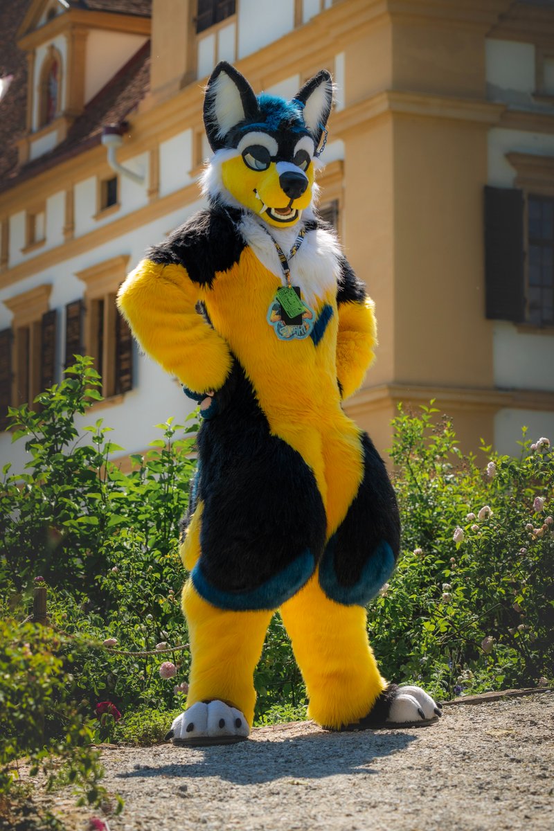 Sutari_Flavo's tweet photo. Happy #Fursuitfriday
#Castle #Eggenberg
📸 @Yoruno_Maneko https://t.co/3IZmE9dTPI