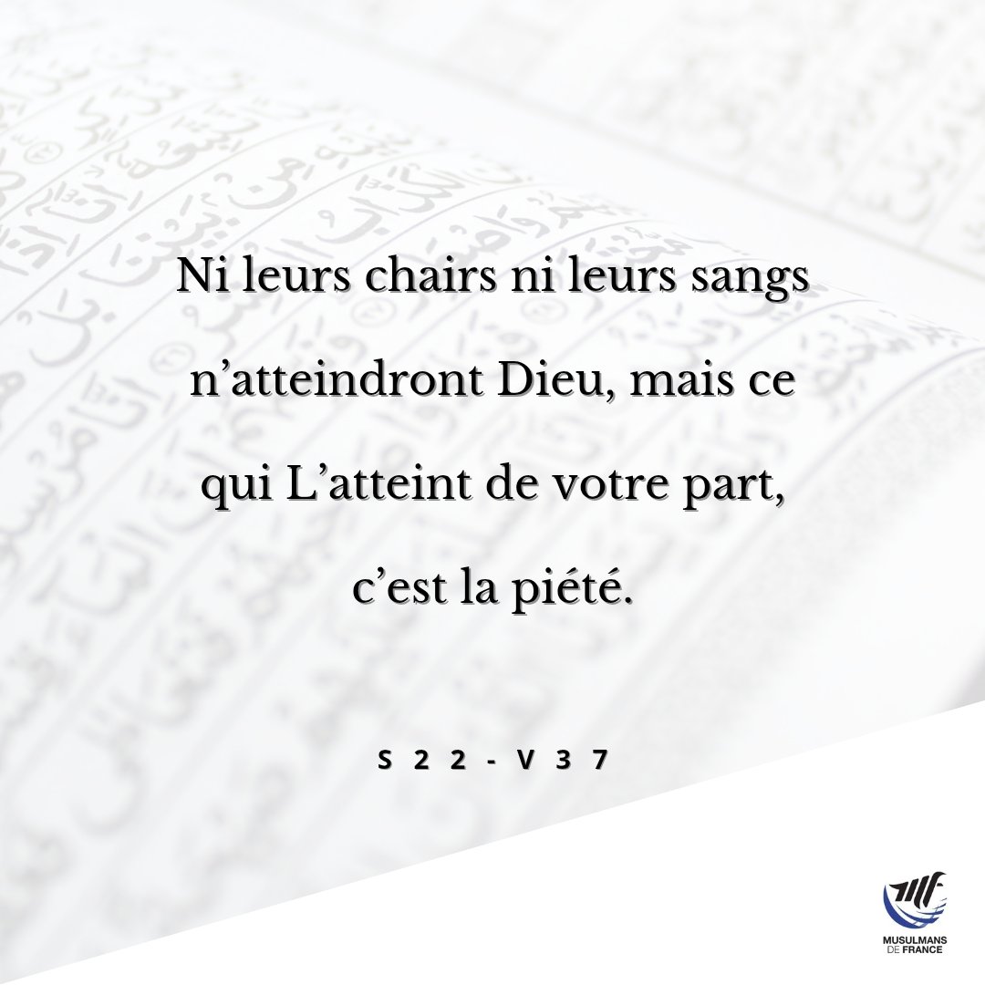 MF_Musulmans's tweet photo. Nous sommes encore dans les jours bénis de l’Aïd. Au-delà de la fête, gardons ce qu’elle a éveillé en nous : gratitude, générosité, sincérité et rappel de Dieu. Que ces jours laissent une trace durable dans nos cœurs 🤲🏽

Jumu’a Moubaraka. https://t.co/Xi9rarh4Bv