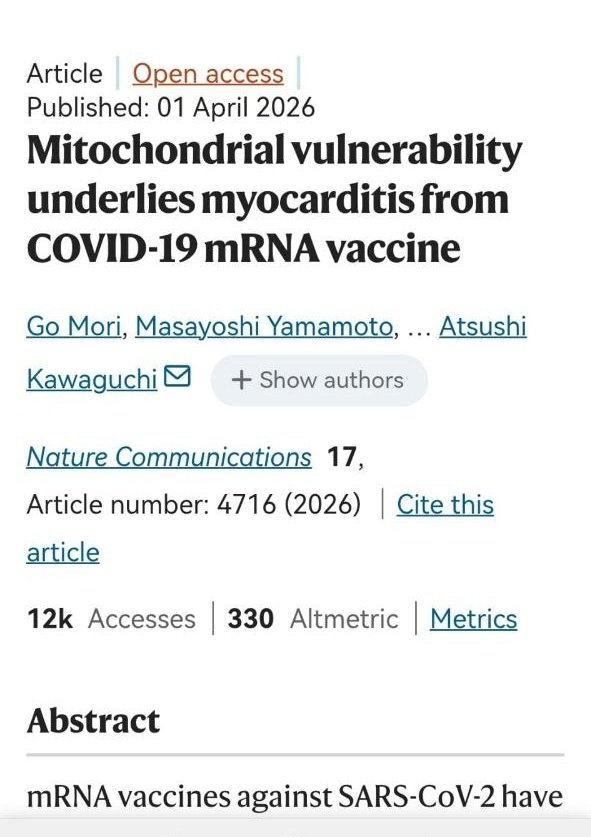 DoctoraPrego's tweet photo. Vulnerabilidad mitocondrial y miocarditis por vacunas de ARNm

 La vulnerabilidad mitocondrial es un factor de riesgo clave para desarrollar miocarditis tras la "vacuna" covid con ARNm. 

La investigación, realizada en pacientes humanos y modelos animales, demuestra que el daño mitocondrial predispone a los cardiomiocitos a sufrir necroptosis mediada por especies reactivas de oxígeno.

La "vacunación" reduce la función cardíaca en individuos con compromiso mitocondrial previo, un proceso que se ha podido mitigar con terapias antioxidantes. Estos hallazgos señalan mecanismos moleculares específicos que  explican este efecto adverso.

Mori, G., Yamamoto, M., Ishikawa, K., Tamashiro, H., Suzuki, H., Mizuno, S., Nakada, K., & Kawaguchi, A. (2026). Mitochondrial vulnerability underlies myocarditis from COVID-19 mRNA vaccine. Nature communications, 17(1), 4716.