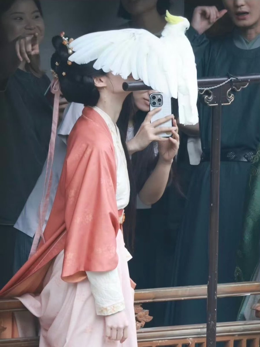 jijeju5's tweet photo. Xiaoxiao’s animal-loving agenda https://t.co/dV11RHRszM