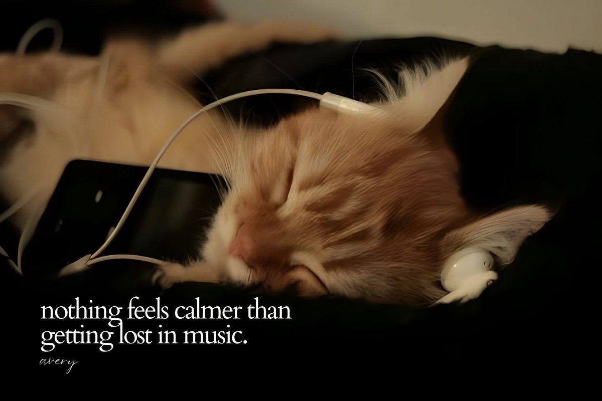 parkerzone_'s tweet photo. 🎶 https://t.co/cydbLCr1NH