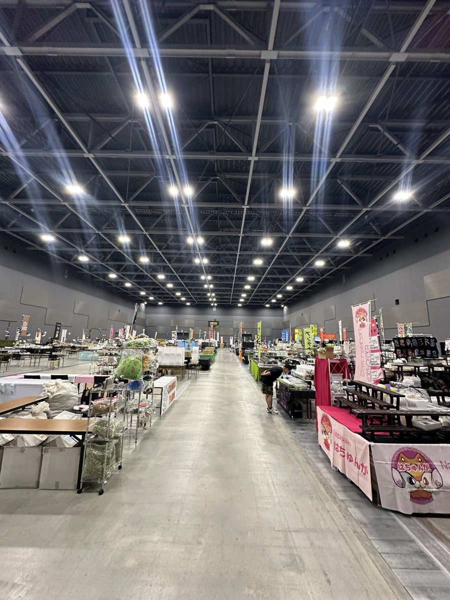 9rep_official's tweet photo. いよいよ明日✨

九州爬虫類フェス2026春！

2026/5/30〜5/31の2日間
場所はマリンメッセB館です！

前売り券の販売は本日までとなっておりますので
まだの方はお早めにご購入ください🤗

皆様のお越しをスタッフやショップさん一同で
心よりお待ちしております☺️

#九州爬虫類フェス #爬虫類イベント #アソビュー