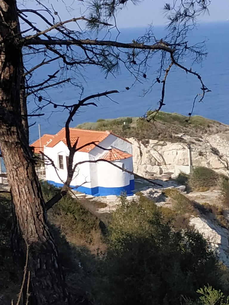 tsoupras's tweet photo. Καλό. Μεσημέρι 🍴🍶🍏🍎🥝🍅🫒 Λιμένας Θάσος 🏖️☀️🩵 https://t.co/eYDqAqI1QR