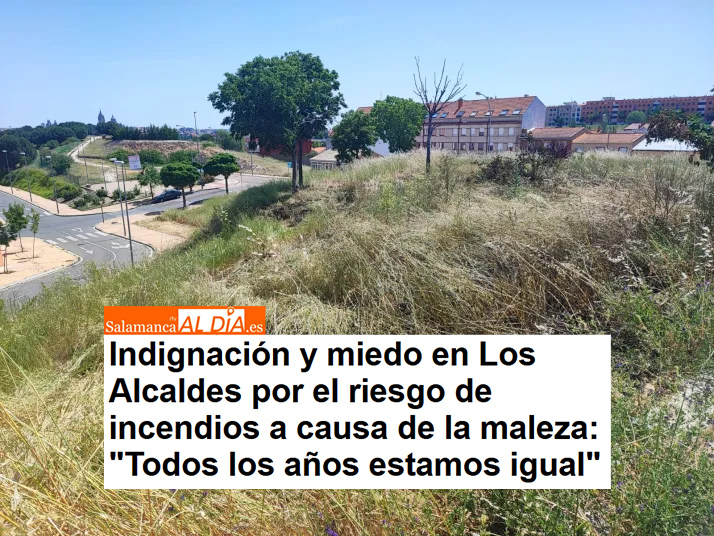psoeaytosa's tweet photo. En el barrio de Los Alcaldes no aguantan más: temen que el estado de la maleza en las zonas verdes provoque una desgracia.

Pedimos al Gobierno municipal que agilice los trabajos de desbroce para garantizar la seguridad en los barrios de #Salamanca.

📰 https://t.co/kTbIJhHZlx https://t.co/DsEmGaMQYe