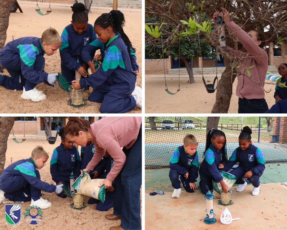 MitchellHouseT's tweet photo. Grade 3s turning profits into purpose! 

New birdhouses for JP playgrounds + support for Kitty 911 + lessons how to care for pets = kindness, understanding &amp; responsibility.

#MitchellHouse 
#GrowingPeopleOfSignificance https://t.co/txo0oaMQbe