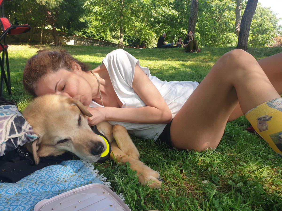 cigdemlde's tweet photo. Bize her gün bayram❤🐶 https://t.co/eTNNhyOH9J