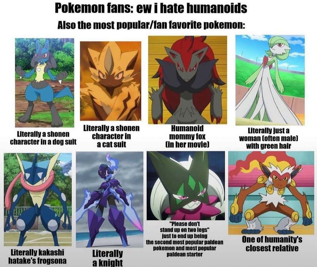 pokemon_daily's tweet photo. meowscarada my beloved https://t.co/5nYqtqWHbc