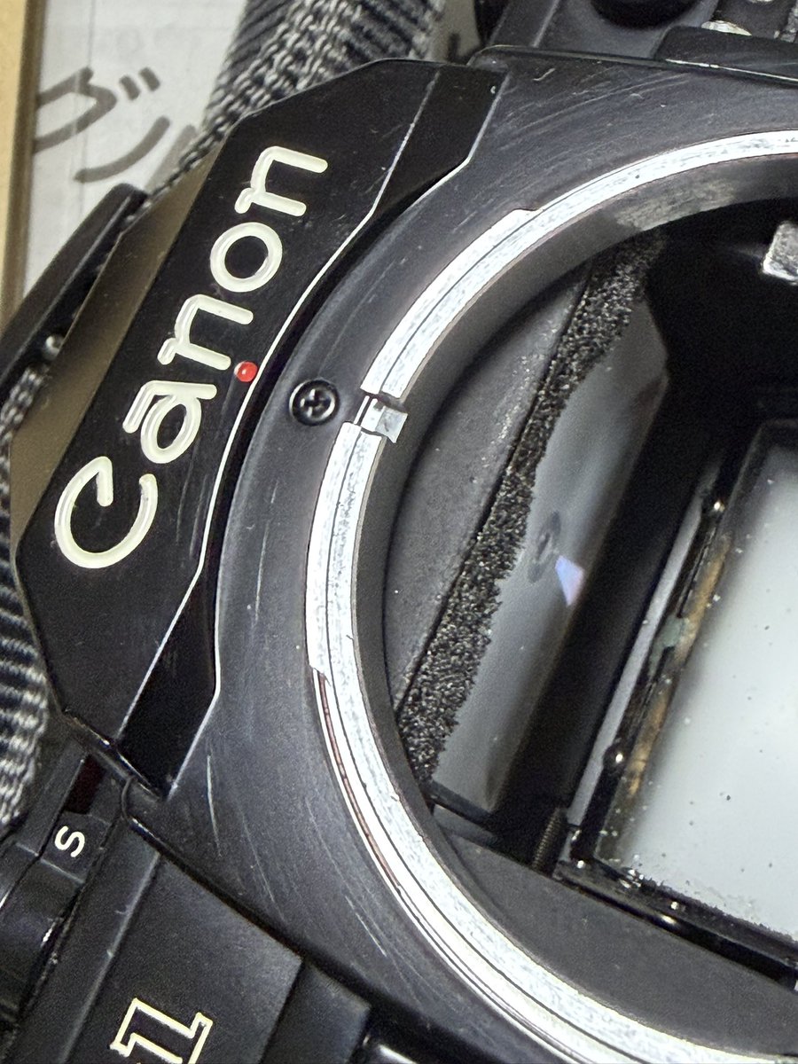 モルト交換した Canon AE-1 試撮り ✧p📷qω•,,´)ﾊﾟｼｬ✧ …チョット