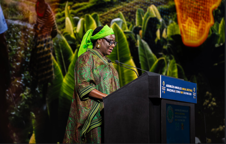 AlphonsoVM's tweet photo. @AfDB_Group Voices from @AfDB_Group, civil society, philanthropy and the Diaspora shared views on #AfDB's New African Financial Architecture for Development - a strategic framework initiative designed to reshape how capital is deployed and risks are managed across the continent. #AfDBAM2026 https://t.co/WmyLe8yNPN