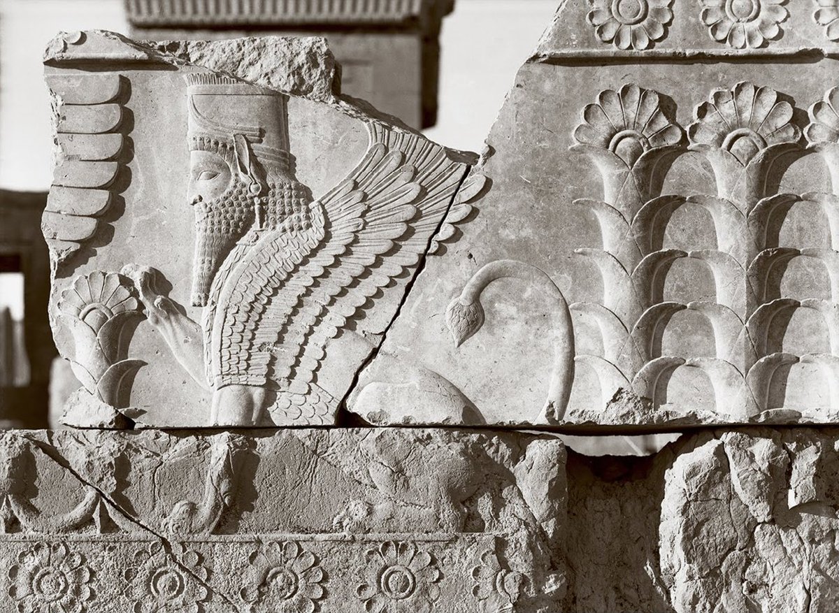 occult__culture's tweet photo. Ruins of Persepolis https://t.co/oeFKTTGDwG