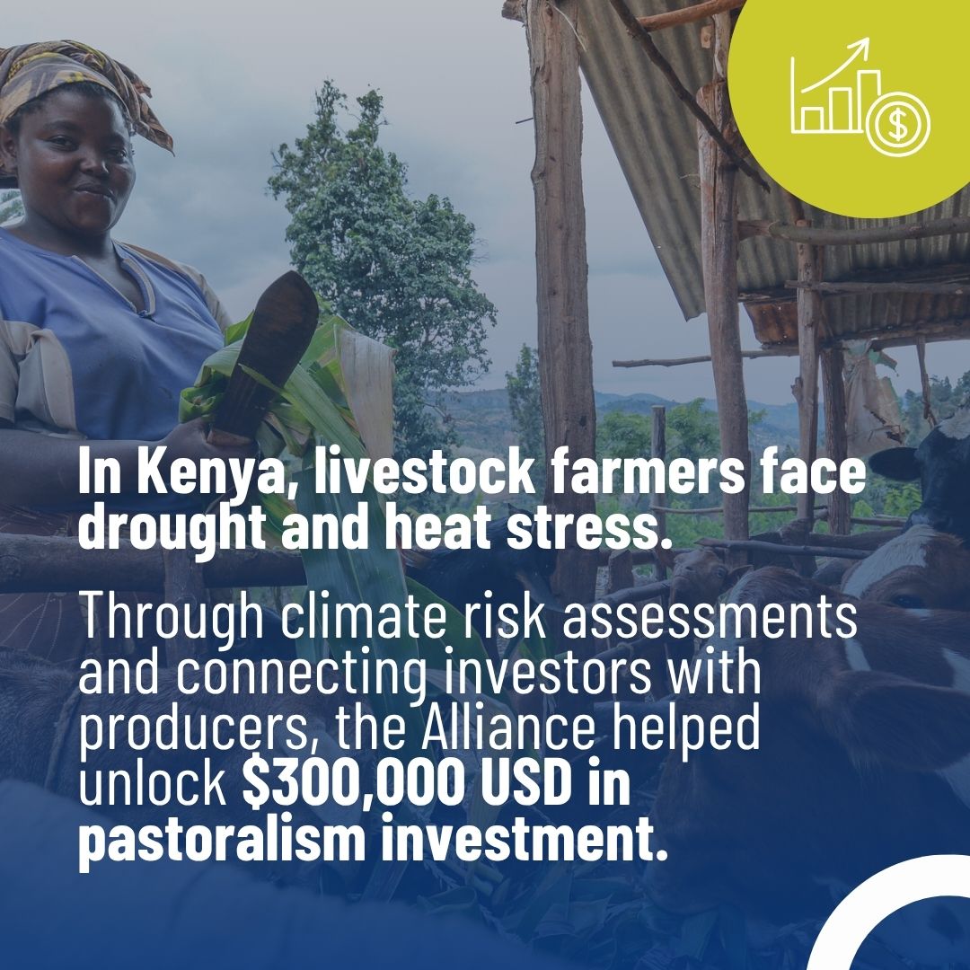 BiovIntCIAT_eng's tweet photo. 🌱⚠️Smallholder farming is often seen as high-risk, yet it can drive climate and social resilience. 
💡Discover case studies like Kenya's pastoralists and Ethiopia's horticultural farmers, showing how informed decision-making can create lasting change.
👉 https://t.co/IUZdbXuUyF https://t.co/p1qU3xs9pJ