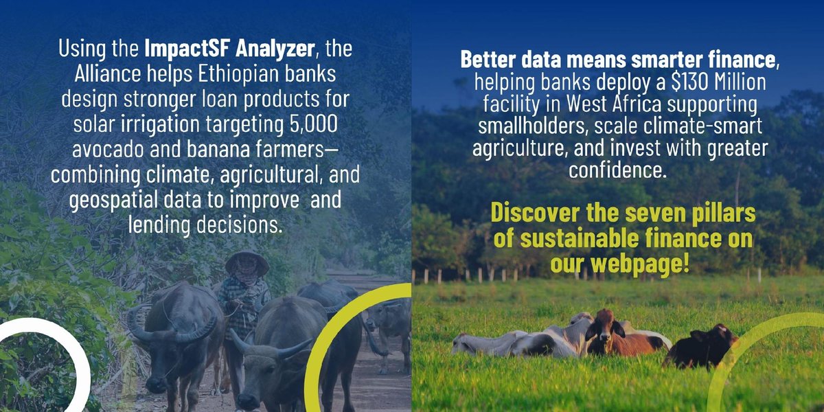 BiovIntCIAT_eng's tweet photo. 🌱⚠️Smallholder farming is often seen as high-risk, yet it can drive climate and social resilience. 
💡Discover case studies like Kenya's pastoralists and Ethiopia's horticultural farmers, showing how informed decision-making can create lasting change.
👉 https://t.co/IUZdbXuUyF https://t.co/p1qU3xs9pJ