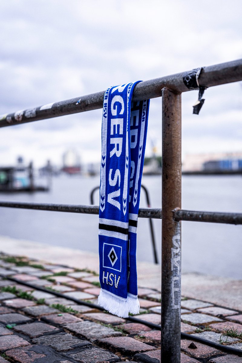 HSV e.V. tweet media