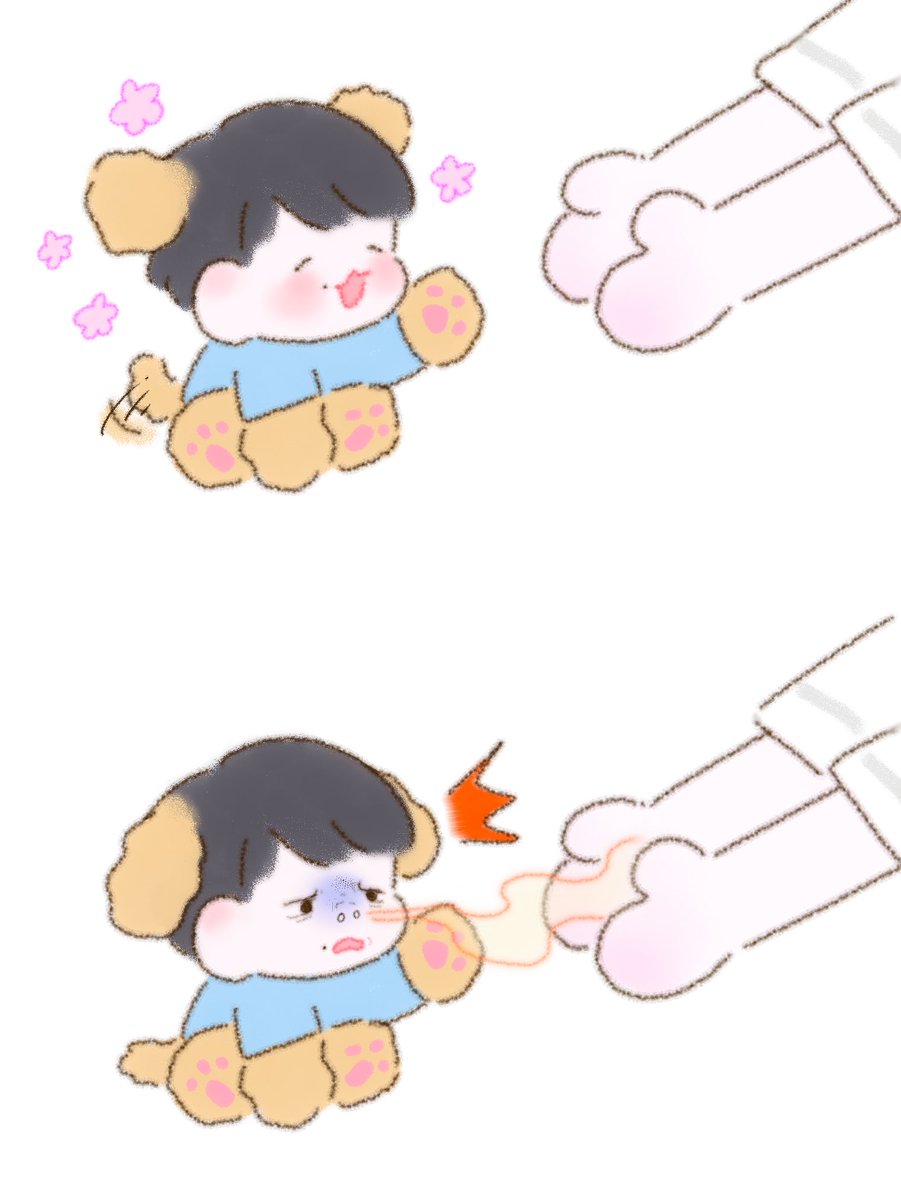 쿠키'.ㅅ'✨ tweet media
