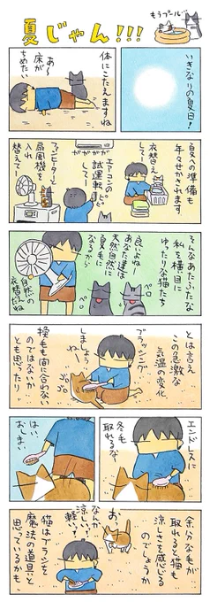 「夏?!」
人も猫も夏への準備。
今年も長い夏になりそうです。
いずれ換毛期のサイクルも変わってくるのかもしれませんね。
(久保智昭さんの「猫色スケッチブック」)つづきはこちら⇒https://t.co/GTaYSZwrJ0 