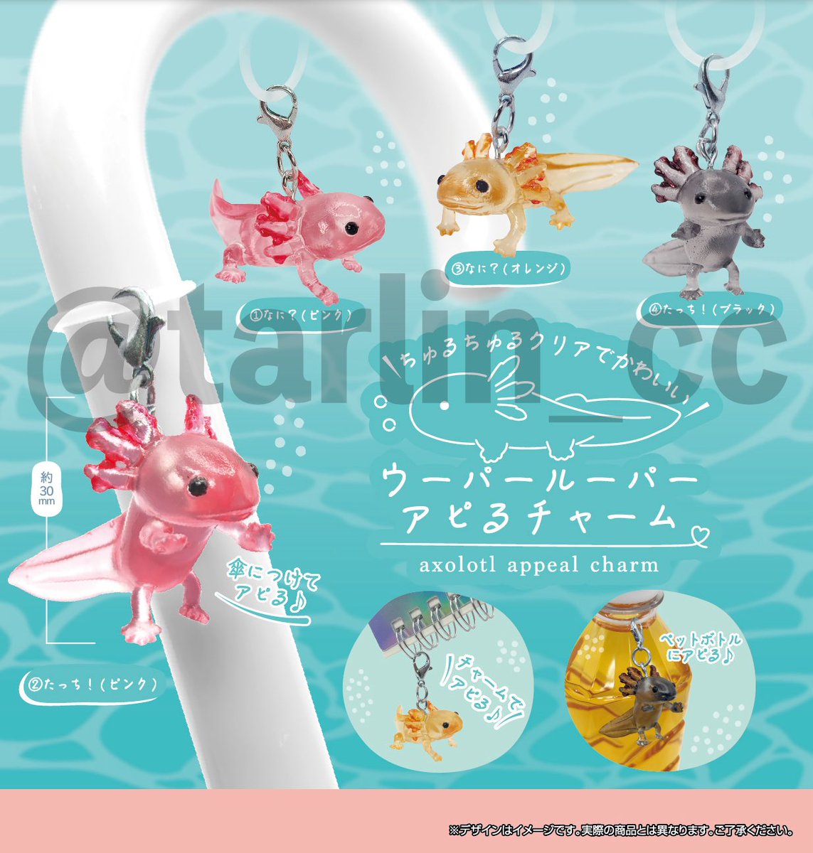 japancapsuletoy's tweet photo. 【ウーパールーパー アピるチャーム】 
10月発売のガチャガチャ。 
https://t.co/D4gNihF7Z9 #pr https://t.co/FygExsPa7c