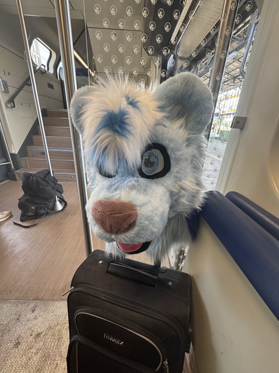 Butterhamster's tweet photo. To Rotterdam I go for #TwitchConEU! https://t.co/IfINvlt7De
