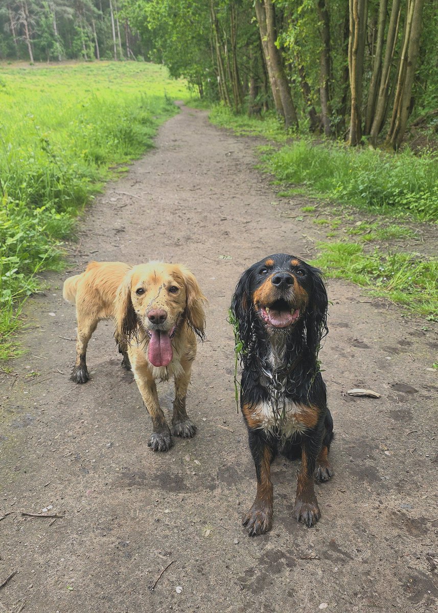 OllyWCS's tweet photo. You abandoned us yesterday to go out for noms so obviously we had to teach you a lesson. https://t.co/0DZKL3PK9A