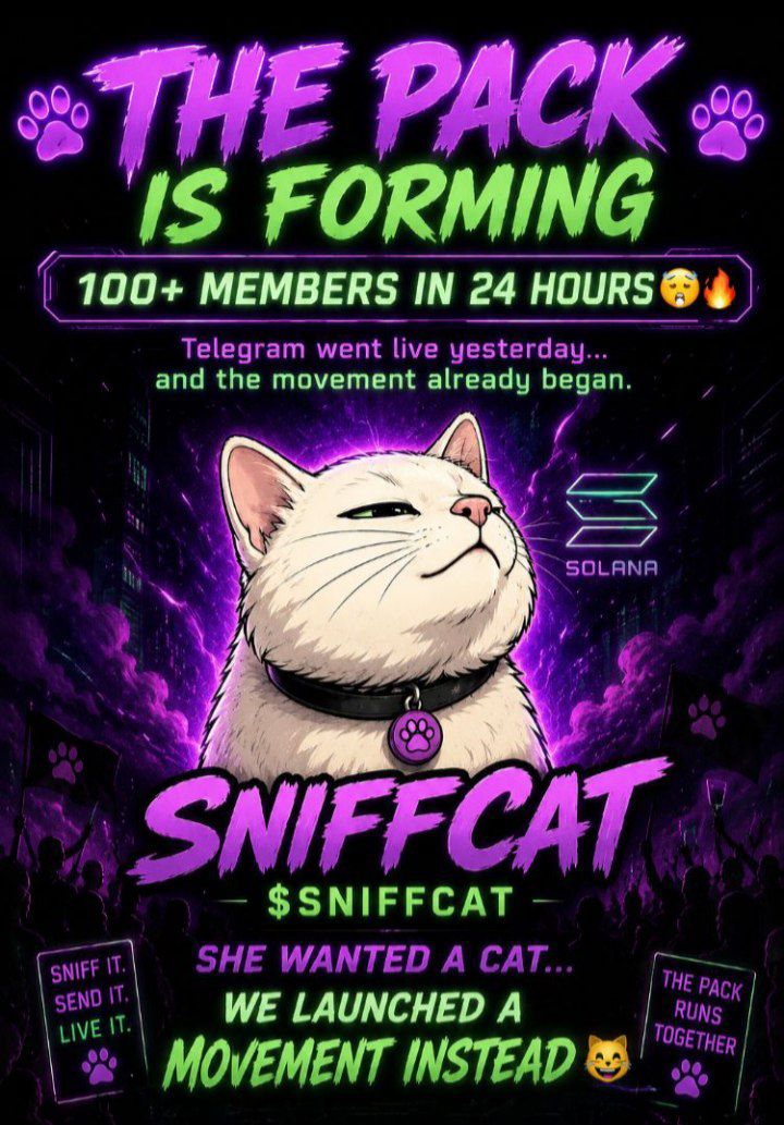 SNIFFCAT tweet media