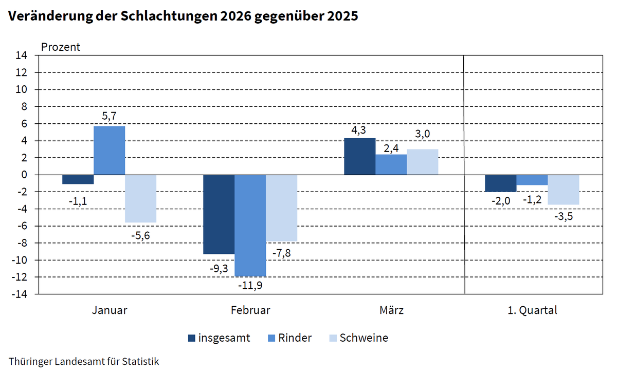 Statistik_TLS's tweet photo. #Schlachtungen und #Fleischerzeugung im 1. Quartal 2026 leicht rückläufig: https://t.co/e0WqgZMizU https://t.co/bm2EHPCQsG