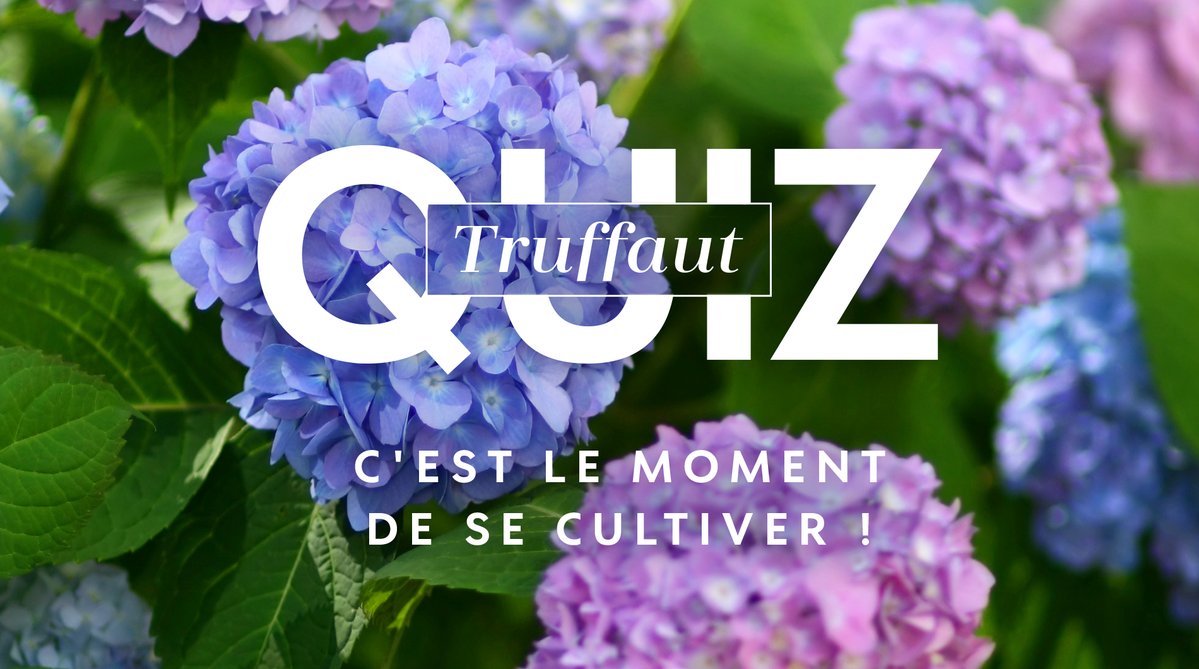 Truffaut's tweet photo. Découvrez les réponses de notre #TruffautQuiz sur les hortensias 🪻

1. Leur couleur change selon l’acidité du sol ✅
2. Hydrangeacées ✅
3. Au printemps ou en automne ✅ https://t.co/c51gOK81xE