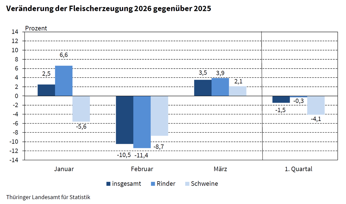 Statistik_TLS's tweet photo. #Schlachtungen und #Fleischerzeugung im 1. Quartal 2026 leicht rückläufig: https://t.co/e0WqgZMizU https://t.co/bm2EHPCQsG